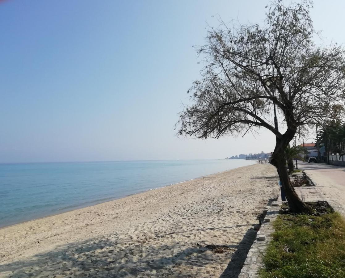 Seaside View Villa Hanioti Exterior photo